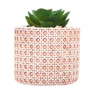 Cachepot de Cerâmica com Suculenta Treliça 7,5cm x 7,5cm X 8,5cm - Wolff