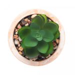 Cachepot-de-Ceramica-com-Suculenta-Palha-7,5cm-x-7,5cm-X-9,5cm-Wolff