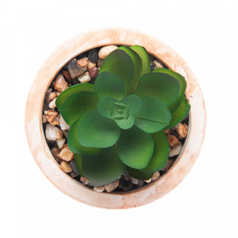 Cachepot-de-Ceramica-com-Suculenta-Palha-7,5cm-x-7,5cm-X-9,5cm-Wolff