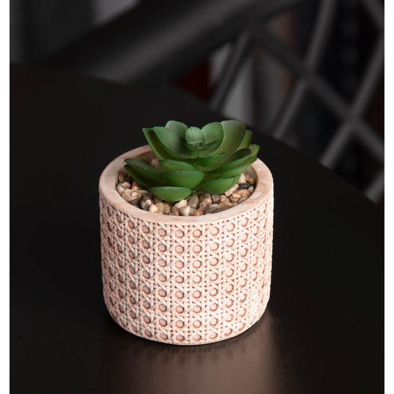 Cachepot-de-Ceramica-com-Suculenta-Palha-7,5cm-x-7,5cm-X-9,5cm-Wolff