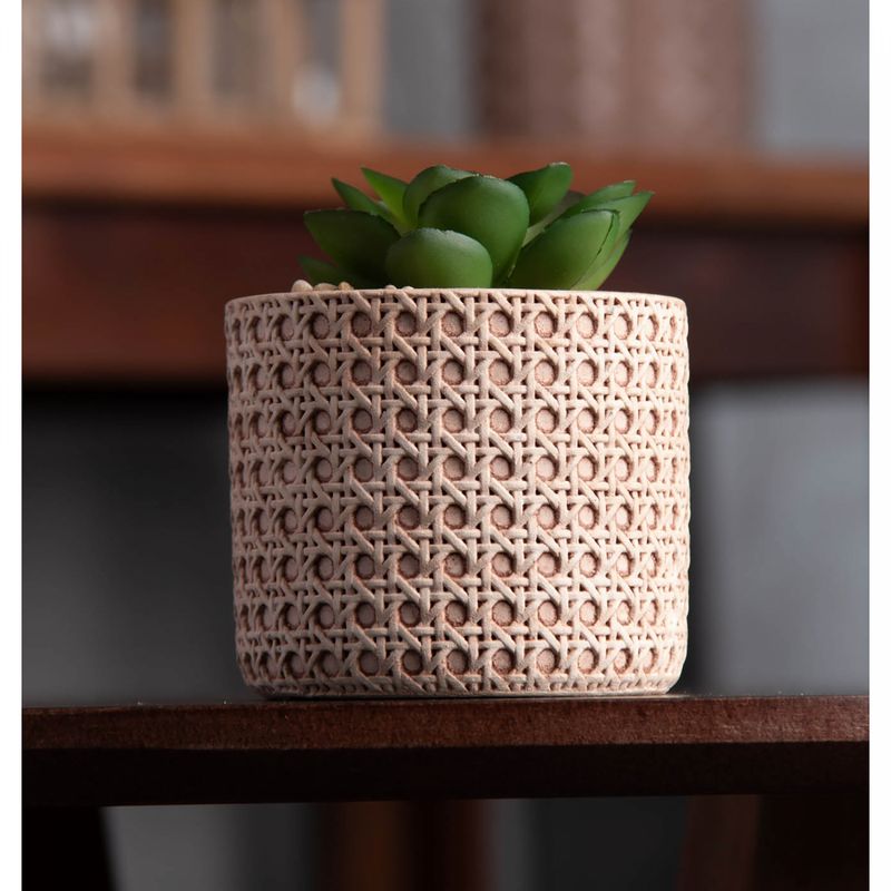 Cachepot-de-Ceramica-com-Suculenta-Palha-7,5cm-x-7,5cm-X-9,5cm-Wolff