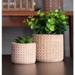 Cachepot-de-Ceramica-com-Suculenta-Palha-7,5cm-x-7,5cm-X-9,5cm-Wolff