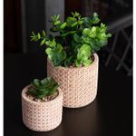 Cachepot-de-Ceramica-com-Suculenta-Palha-7,5cm-x-7,5cm-X-9,5cm-Wolff