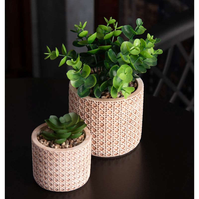 Cachepot-de-Ceramica-com-Suculenta-Palha-7,5cm-x-7,5cm-X-9,5cm-Wolff