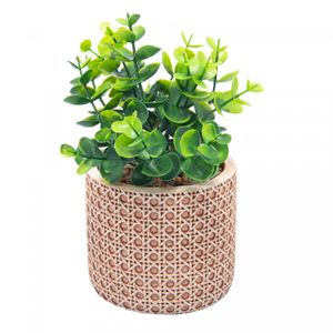 Cachepot de Cerâmica com Suculenta Treliça 10cm x 10cm X 18cm - Wolff