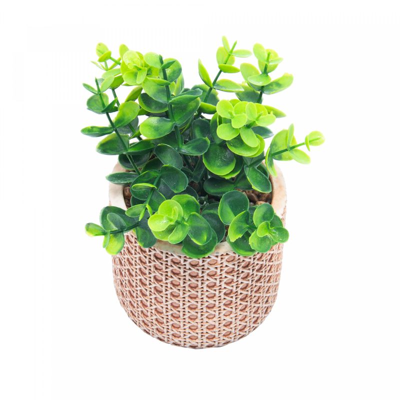 Cachepot-de-Ceramica-com-Suculenta-Trelica-10cm-x-10cm-X-18cm-Wolff