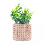 Cachepot-de-Ceramica-com-Suculenta-Trelica-10cm-x-10cm-X-18cm-Wolff