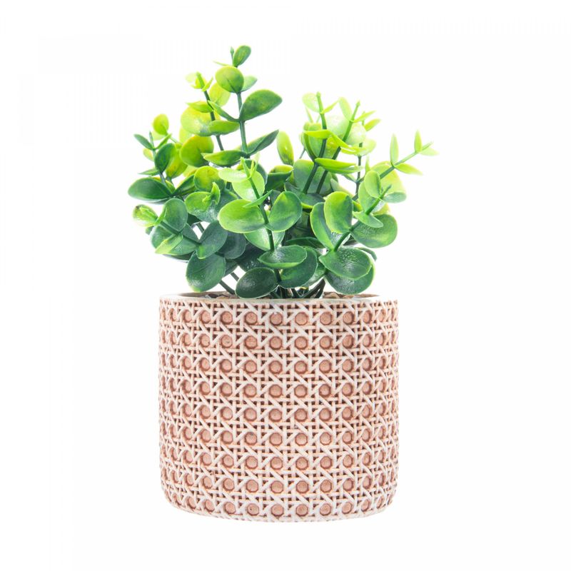 Cachepot-de-Ceramica-com-Suculenta-Trelica-10cm-x-10cm-X-18cm-Wolff