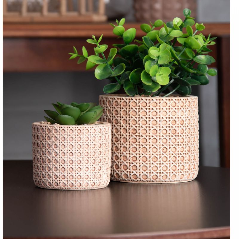 Cachepot-de-Ceramica-com-Suculenta-Trelica-10cm-x-10cm-X-18cm-Wolff