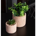 Cachepot-de-Ceramica-com-Suculenta-Trelica-10cm-x-10cm-X-18cm-Wolff