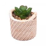Cachepot-de-Ceramica-com-Suculenta-Palha-75cm-x-75cm-X-95cm-Wolff