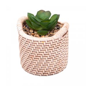 Cachepot de Cerâmica com Suculenta Palha 7,5cm x 7,5cm X 9,5cm - Wolff