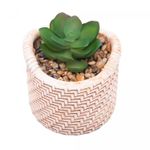 Cachepot-de-Ceramica-com-Suculenta-Palha-75cm-x-75cm-X-95cm-Wolff