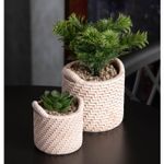 Cachepot-de-Ceramica-com-Suculenta-Palha-75cm-x-75cm-X-95cm-Wolff