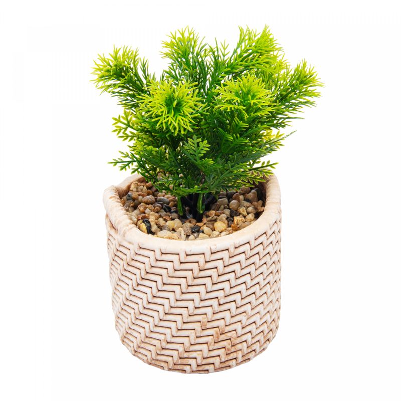 Cachepot-de-Ceramica-com-Suculenta-Palha-10cm-x-10cm-X-19cm-Wolff