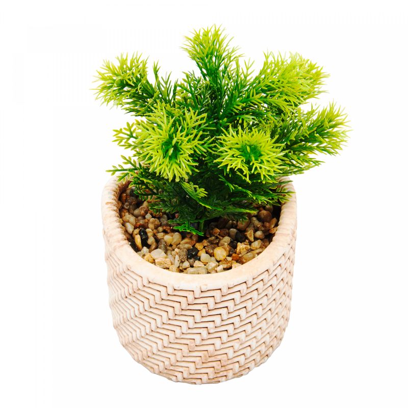 Cachepot-de-Ceramica-com-Suculenta-Palha-10cm-x-10cm-X-19cm-Wolff