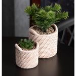 Cachepot-de-Ceramica-com-Suculenta-Palha-10cm-x-10cm-X-19cm-Wolff