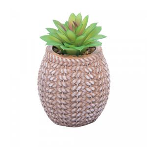 Cachepot de Cerâmica com Suculenta Sisal 9,5cm x 9,5cm X 14,5cm - Wolff
