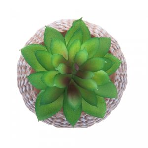 Cachepot de Cerâmica com Suculenta Sisal 9,5cm x 9,5cm X 14,5cm - Wolff