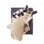Figura-Decorativa-Face-de-Resina-135cm-x-295cm-Wolff