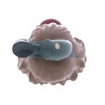Figura-Decorativa-Boneca-com-Maca-de-Resina-135cm-x-125cm-335cm-Wolff