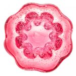 Vaso-de-Vidro-Italy-Rosa-12cm-x-11cm-Wolff