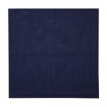 Conjunto-2-Guardanapos-de-Algodao-Azul-Escuro-40cm-x-40cm-Wolff