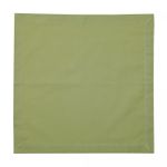 Conjunto-2-Guardanapos-de-Algodao-Verde-Claro-40cm-x-40cm-Wolff