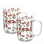 Conjunto-2-Canecas-de-Vidro-Borossilicato-Resistente-a-Calor-Flores-280ml-Wolff