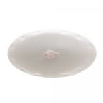 Manteigueira-de-Porcelana-Birds-Branco-10cm-x-16cm-x-9cm-Wolff