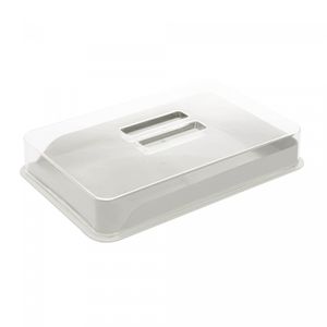 Porta Frios de Bambu e PP com Tampa de Poliestireno Off-White 21cm x 16cm x 4cm - Lyor