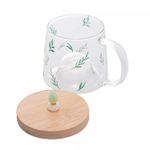 Caneca-de-Vidro-Borossilicato-Resistente-ao-Calor-com-Pires-de-Bambu-Suculenta-330ml-Lyor