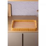 Bandeja-Retangular-com-Alca-Kali-35cm-x-25cm-x-45cm-Plastico-Lyor
