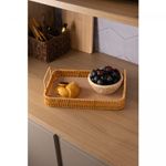 Bandeja-Retangular-com-Alca-Kali-30cm-x-20cm-x-45cm-Plastico-Lyor