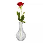 Vaso-de-Vidro-Pumpkin-95cm-X-95cm-X-17cm-Lyor