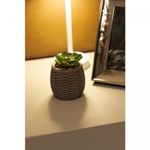 Cachepot-de-Ceramica-com-Suculenta-Sisal-75cm-x-75cm-X-105cm-Wolff