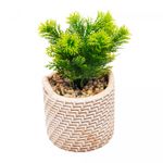 Cachepot-de-Ceramica-com-Suculenta-Palha-10cm-x-10cm-X-19cm-Wolff
