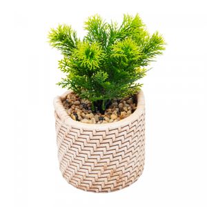 Cachepot de Cerâmica com Suculenta Palha 10cm x 10cm X 19cm - Wolff