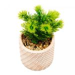 Cachepot-de-Ceramica-com-Suculenta-Palha-10cm-x-10cm-X-19cm-Wolff