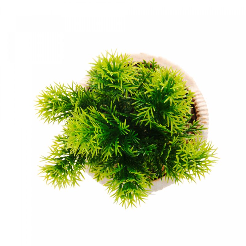 Cachepot-de-Ceramica-com-Suculenta-Palha-10cm-x-10cm-X-19cm-Wolff