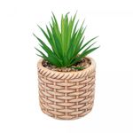 Cachepot-de-Ceramica-com-Suculenta-Rattan-10cm-x-10cm-X-17cm-Wolff