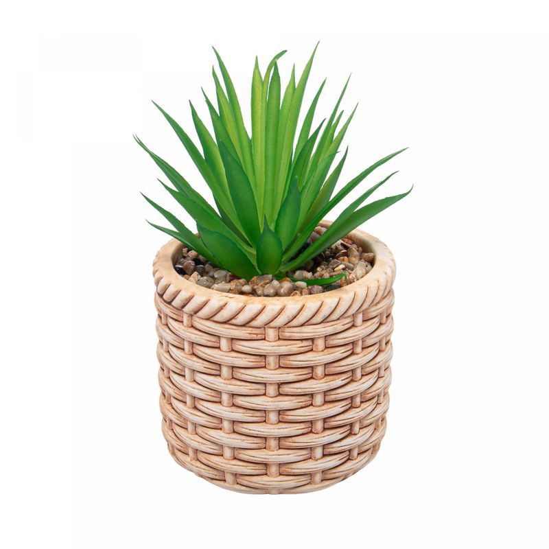 Cachepot-de-Ceramica-com-Suculenta-Rattan-10cm-x-10cm-X-17cm-Wolff