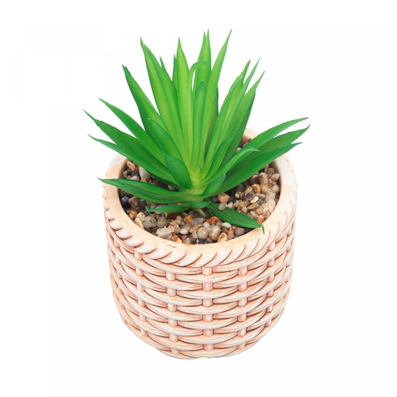 Cachepot-de-Ceramica-com-Suculenta-Rattan-10cm-x-10cm-X-17cm-Wolff