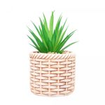 Cachepot-de-Ceramica-com-Suculenta-Rattan-10cm-x-10cm-X-17cm-Wolff