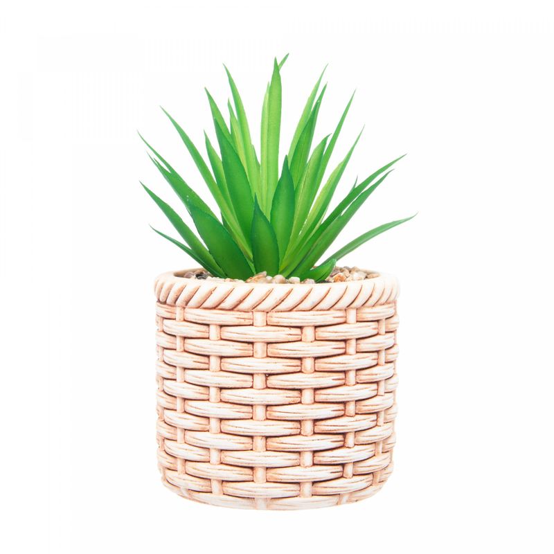 Cachepot-de-Ceramica-com-Suculenta-Rattan-10cm-x-10cm-X-17cm-Wolff