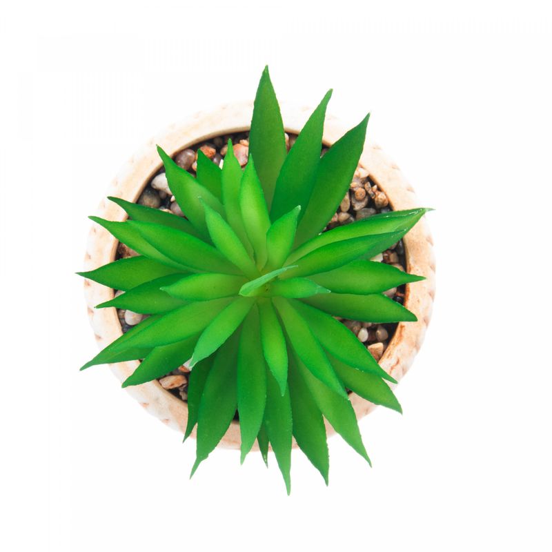 Cachepot-de-Ceramica-com-Suculenta-Rattan-10cm-x-10cm-X-17cm-Wolff