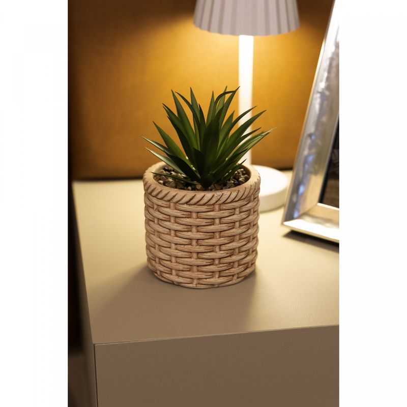 Cachepot-de-Ceramica-com-Suculenta-Rattan-10cm-x-10cm-X-17cm-Wolff