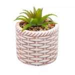 Cachepot-de-Ceramica-com-Suculenta-Rattan-75cm-x-75cm-X-95cm-Wolff