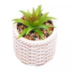 Cachepot-de-Ceramica-com-Suculenta-Rattan-75cm-x-75cm-X-95cm-Wolff