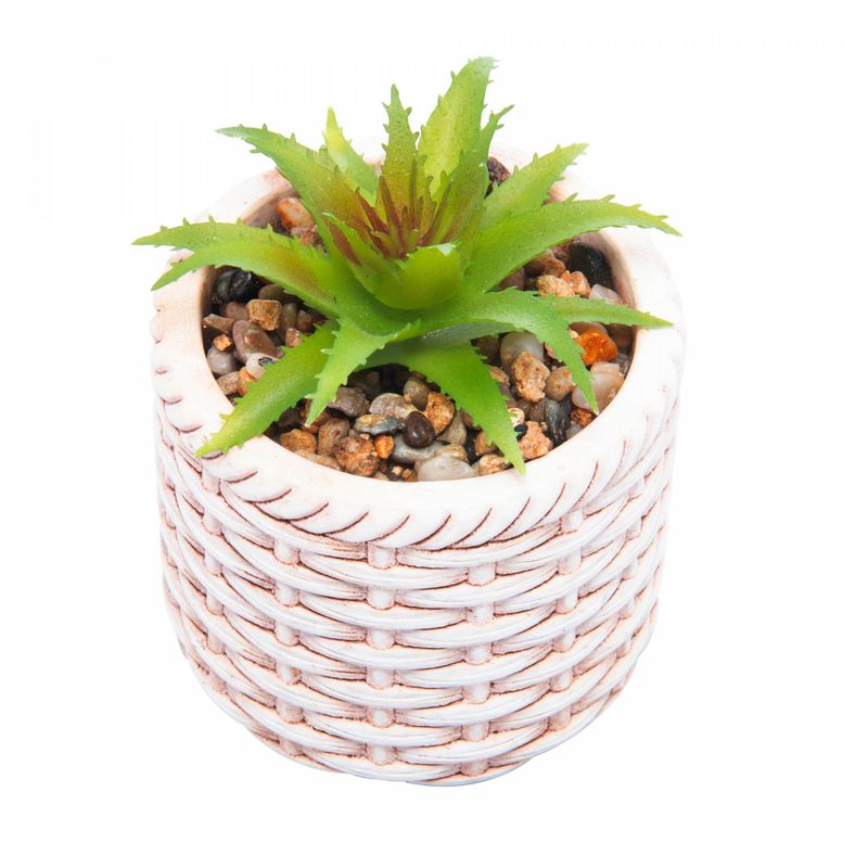 Cachepot-de-Ceramica-com-Suculenta-Rattan-75cm-x-75cm-X-95cm-Wolff